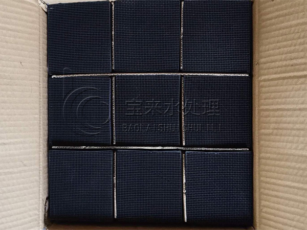 ��C����̿